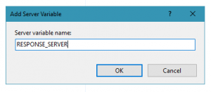 Adding Server Variables within IIS